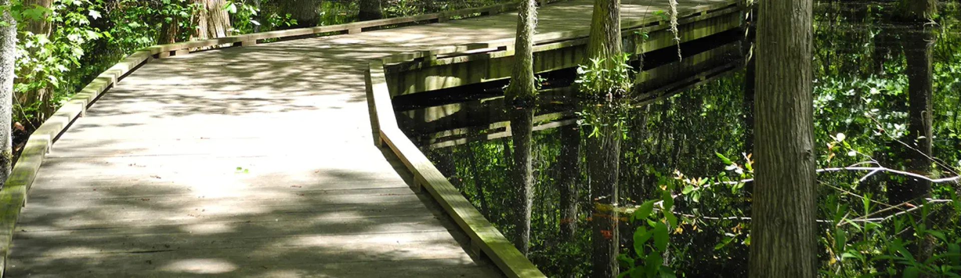 walking trail at Woods Bay