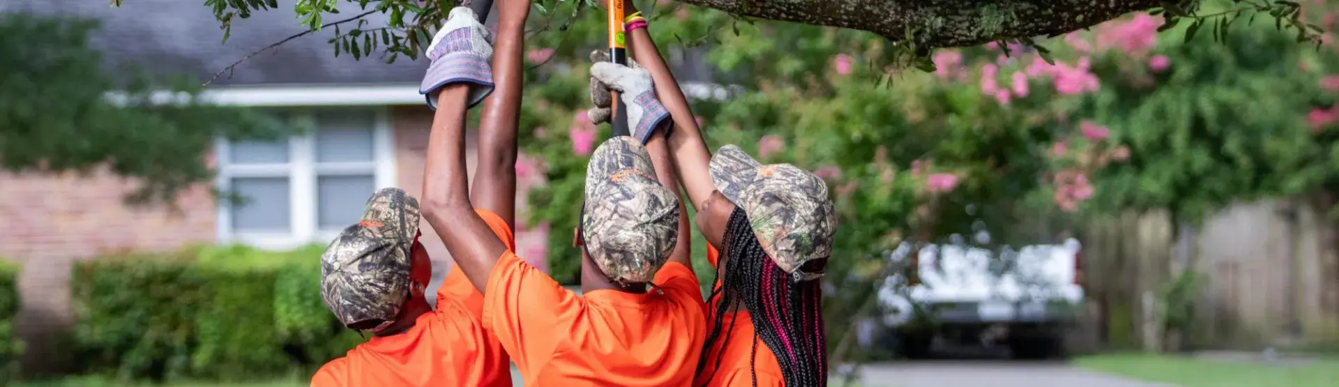 Youth Trimming Trees