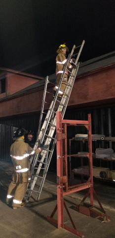 Explorers laddering a roof